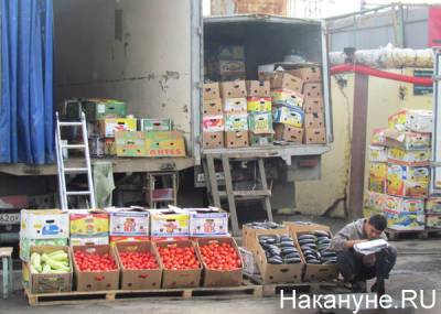 Вице-премьер Абрамченко поручила профильным министерствам снизить стоимость перевозки продуктов