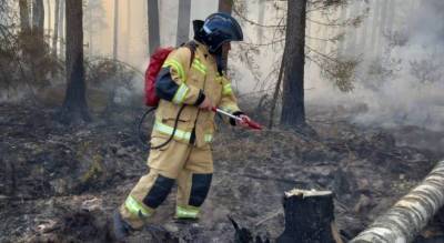 В Марий Эл площадь лесного пожара значительно сократилась
