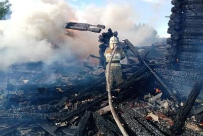 Новгородка заживо сгорела в полыхающем доме