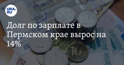 Долг по зарплате в Пермском крае вырос на 14%