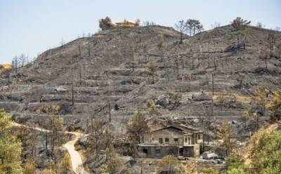 Земли, пострадавшие от пожаров, защитят дополнительно