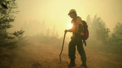 В МЧС рассказали о ситуации с лесными пожарами в Башкирии
