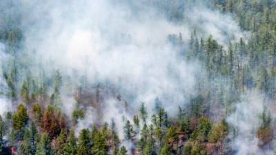 Доброволец погиб при тушении природного пожара в Оренбургской области