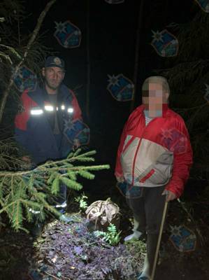 Спасатели нашли и вывели из леса около СНТ Славянка заблудившегося мужчину