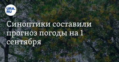 Синоптики составили прогноз погоды на 1 сентября