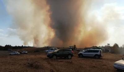 Площадь лесных пожаров в Башкирии достигла более одной тысячи гектар