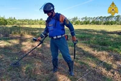 В Тверской области нашли 25 мин и гранат времен войны