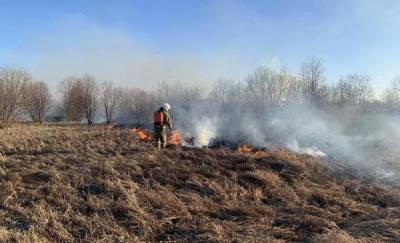 В Тюменской области лесные пожары тушат специалисты авиабазы и Минобороны