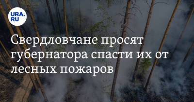 Свердловчане просят губернатора спасти их от лесных пожаров. «У нас ест глаза, ком в горле»