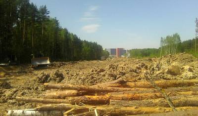 Обойдемся без кислорода: как Новая Москва уничтожает Ульяновский лесопарк