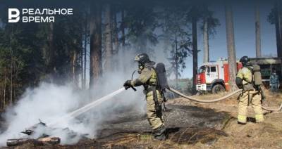 Число лесных пожаров в Татарстане уже приблизилось к показателям 2010 года