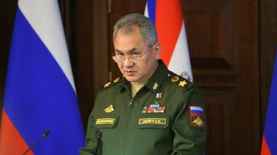 Шойгу назвал Египет стратегическим партнёром России в Африке