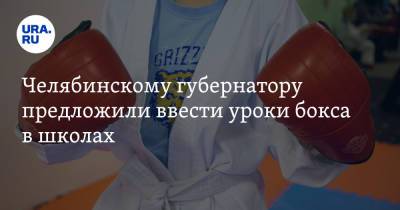 Челябинскому губернатору предложили ввести уроки бокса в школах