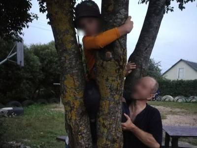 Ребенка "захватило" дерево. В Новогрудке спасатели помогли мальчику, ногда которого застряла в дереве