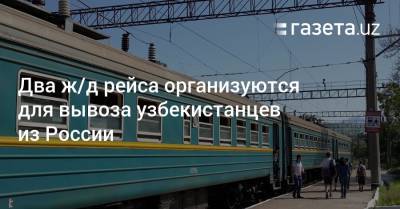Два ж/д рейса организуются для вывоза узбекистанцев из России
