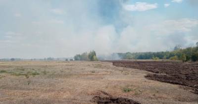 Волонтер погиб при тушении пожара около села в Оренбуржье