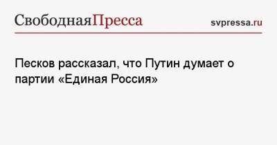 Песков рассказал, что Путин думает о партии «Единая Россия»