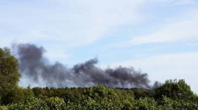 В Пензенской области огонь уничтожил более 126 га леса