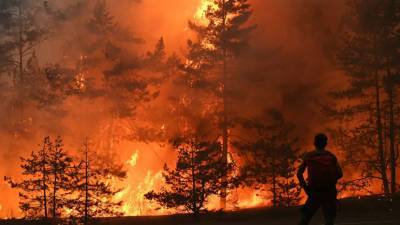 В МЧС Мордовии заявили о пожаре в лесничестве рядом с мордовским заповедником