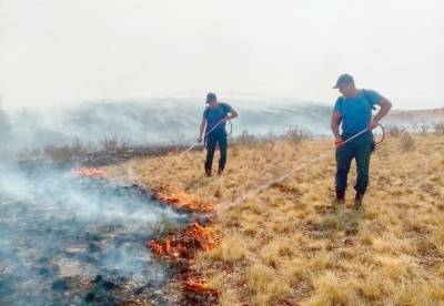 В Башкирии продолжают гореть леса на площади 1,1 тысячи гектаров