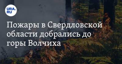 Пожары в Свердловской области добрались до горы Волчиха. Видео