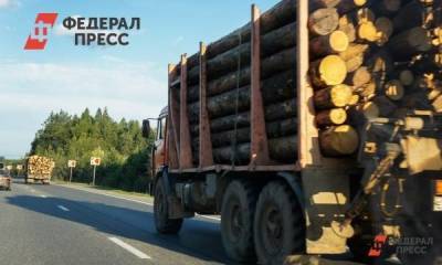 В Сибири резко снизилось производство «кругляка»