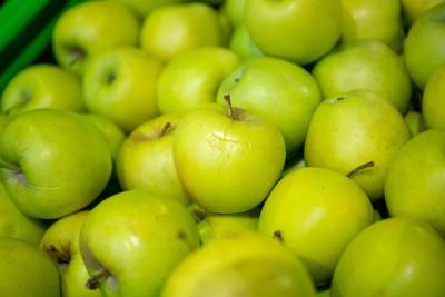 Жители Екатеринбурга принесли в зоопарк три тонны яблок. Их просят остановиться