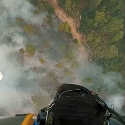 Глава Марий Эл поставил задачу ликвидировать крупный лесной пожар в регионе к 1 сентября