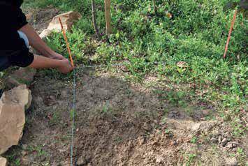 Подготовка почвы под любые посевы