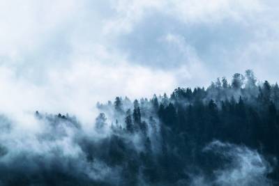 Жителей Пензенской области предупреждают об опасном густом тумане