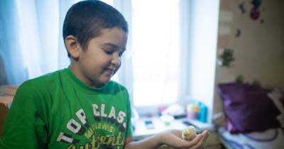 10-летний мальчик из Калининграда помог родителям накопить на ипотеку, разводя птенцов в хрущёвке