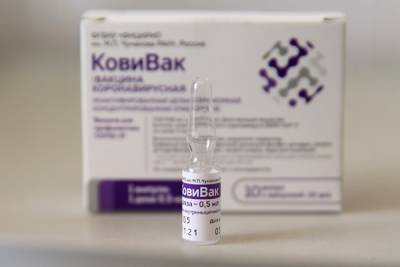Вирусолог назвал сроки появления обновлённого препарата «КовиВак»