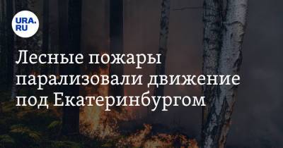 Лесные пожары парализовали движение под Екатеринбургом. Видео