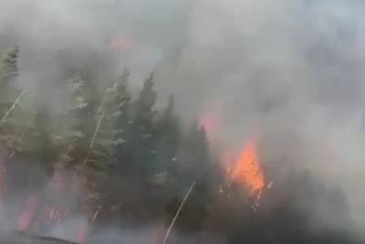 В Свердловской области федеральная трасса перекрыта из-за природного пожара