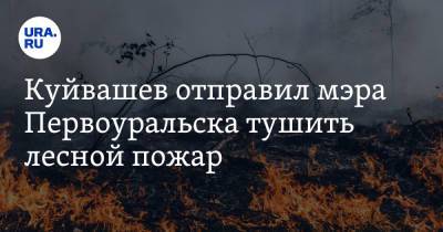 Куйвашев отправил мэра Первоуральска тушить лесной пожар