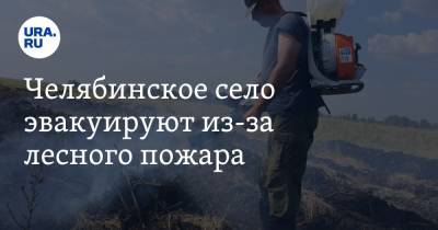 Челябинское село эвакуируют из-за лесного пожара