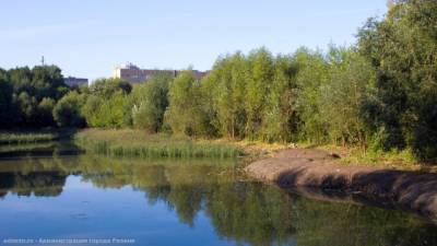 В Рязани начали очищать пруд «Серая шейка»