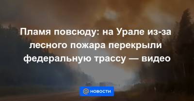 Пламя повсюду: на Урале из-за лесного пожара перекрыли федеральную трассу — видео