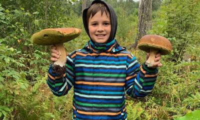 Ученые объяснили аномальное количество грибов в лесах Карелии