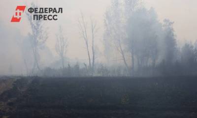 В Челябинской области жители села готовятся к эвакуации из-за лесного пожара