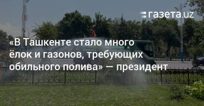 «В Ташкенте стало много ёлок и газонов, требующих обильного полива» — президент