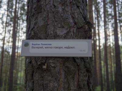 В Красноярске на художников, устроивших выставку в лесу, подали заявление в полицию