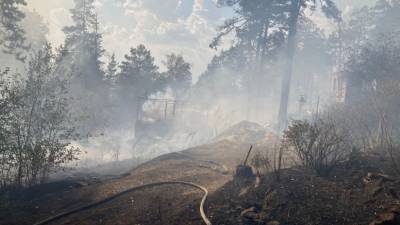 В Миассе за день произошло несколько крупных пожаров в лесах и садовых товариществах