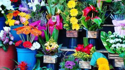 Цены на цветы к 1 сентября в России могут вырасти на 20%