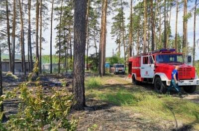 Итоги аномально жаркой недели в Липецке: мусор и сухая трава горели больше 20 раз