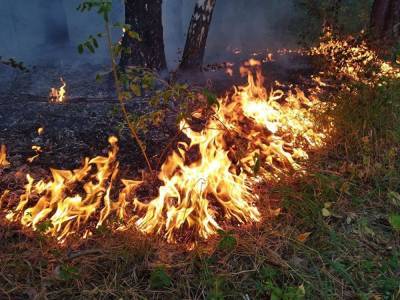 В Свердловской области из-за пожаров превышены ПДК диоксида серы и диоксида азота