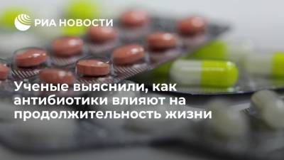 Ученые выяснили, как антибиотики влияют на продолжительность жизни