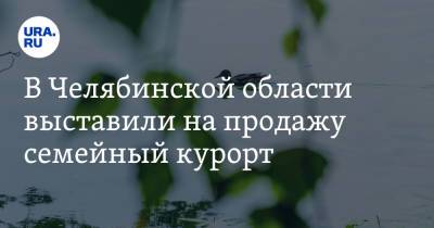 В Челябинской области выставили на продажу семейный курорт