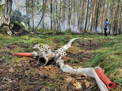 Власти Первоуральска не хотят привлекать волонтеров для тушения пожара на озере Глухом
