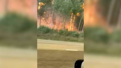 Лесные пожары в Свердловской области добрались до горы Волчиха — видео